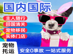虹桥国际宠物托运 【国